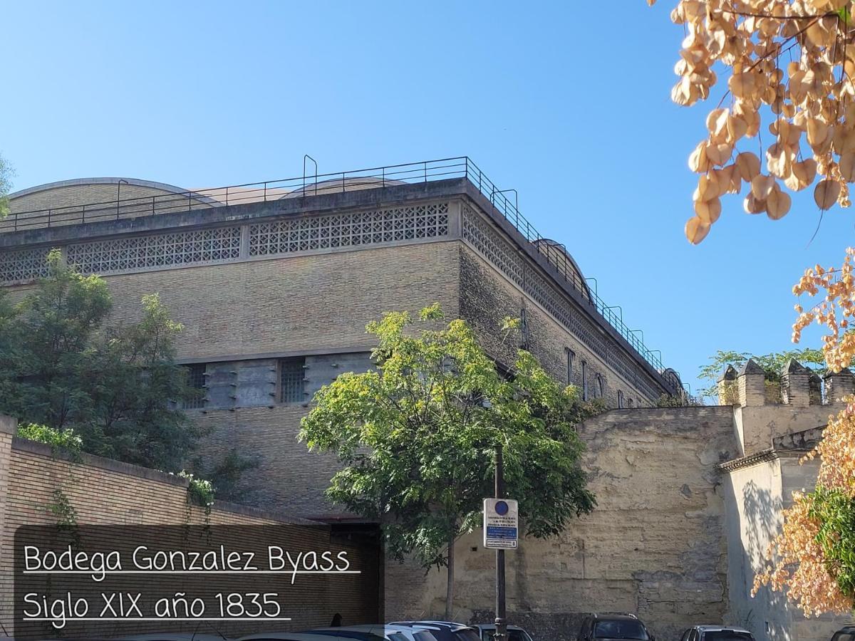 Apartament Jerez Centro Historico