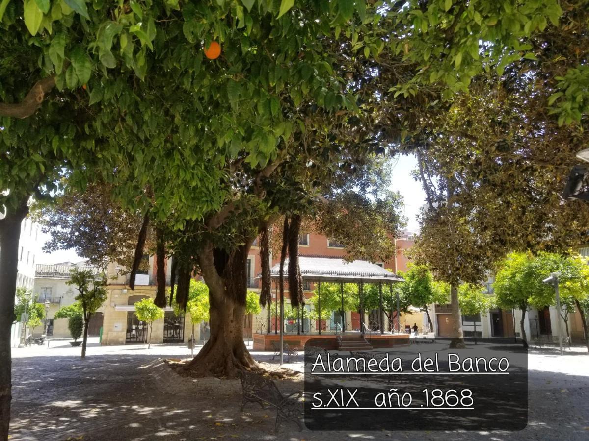 Apartament Jerez Centro Historico *