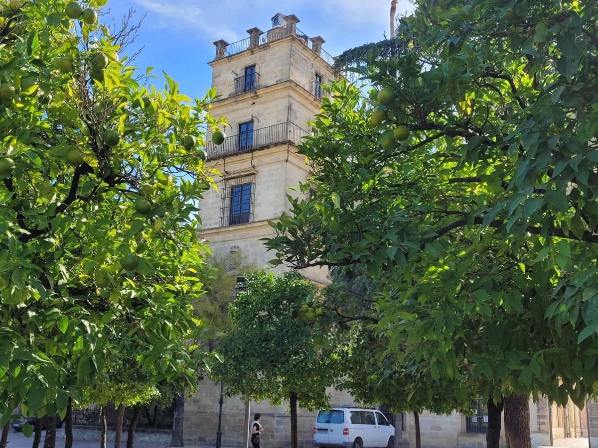 Jerez Centro Historico Apartment *